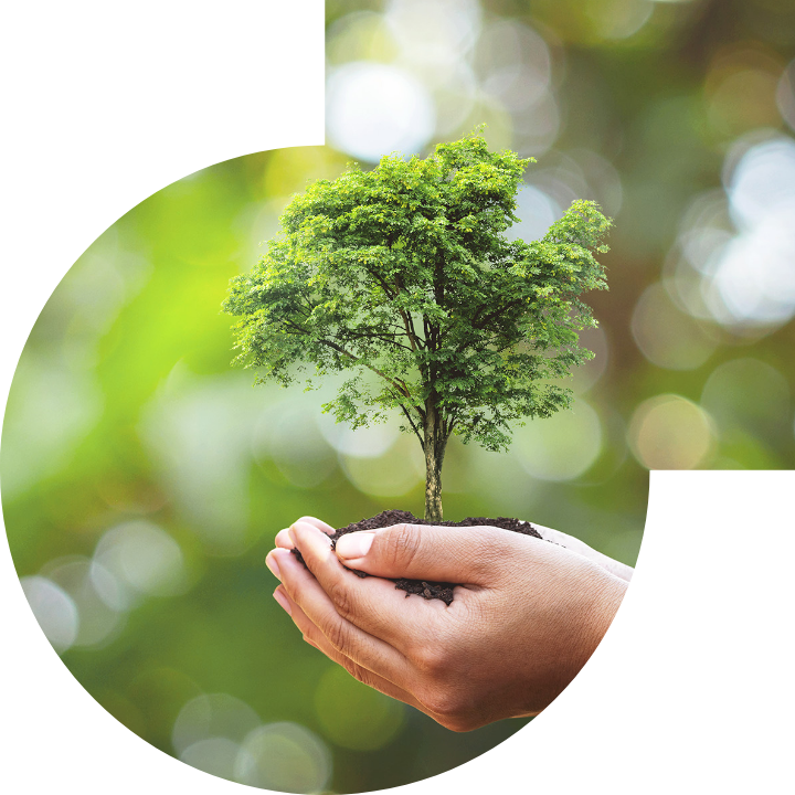 关怀人类、文化、环境与社会